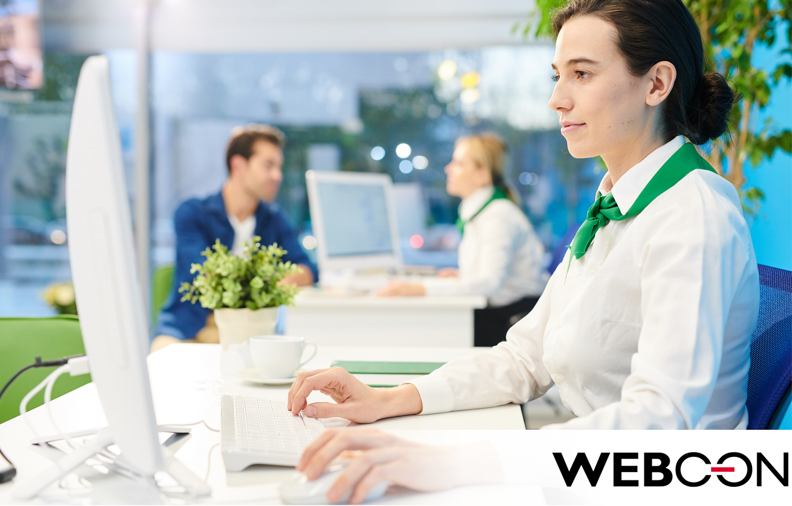 System kontroli wewnętrznej w banku i instytucjach finansowych