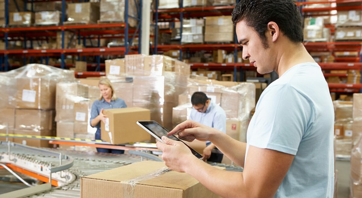 enova 365 Perspektywa magazynu